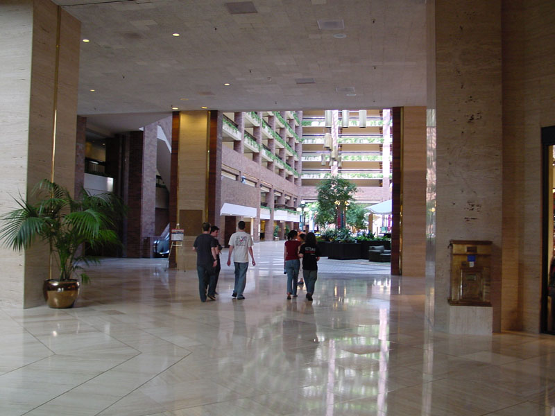 Hilton Anatole